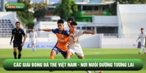 Các Giải Bóng Đá Trẻ Việt Nam - Nơi Nuôi Dưỡng Tương Lai