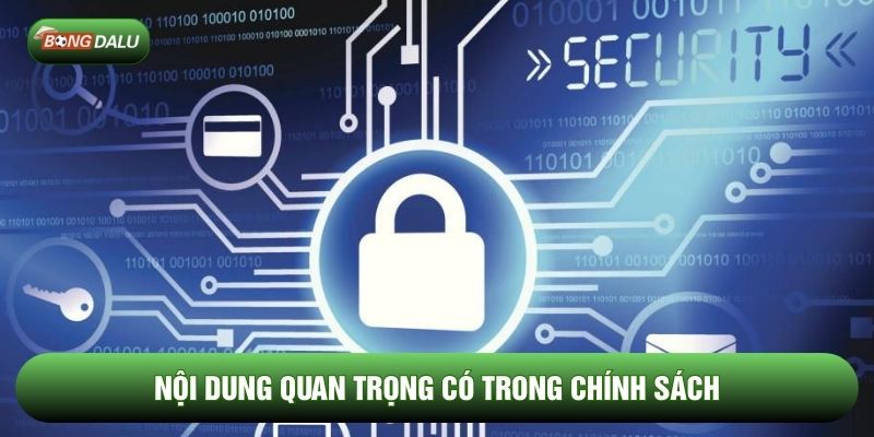 Nội dung quan trọng có trong chính sách