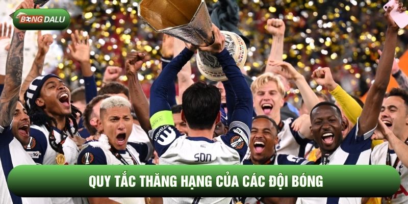 Điểm nổi bật khiến cup C2 được yêu thích