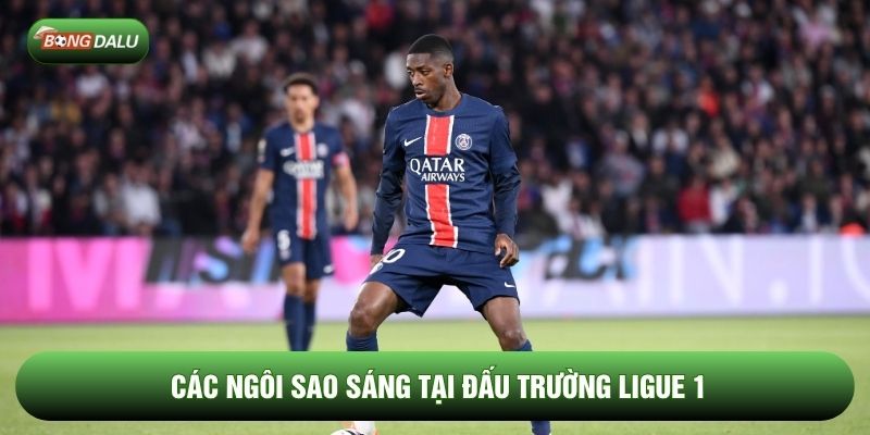 Các ngôi sao sáng tại đấu trường Ligue 1 Các ngôi sao sáng tại đấu trường Ligue 1