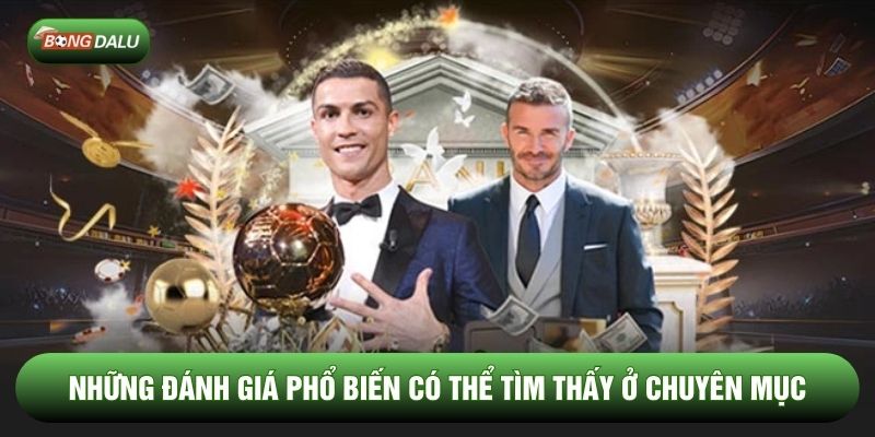 Những đánh giá phổ biến có thể tìm thấy ở chuyên mục