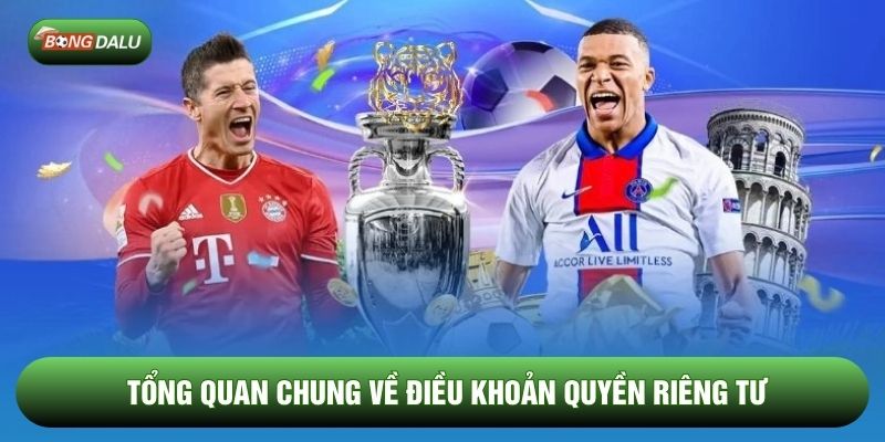 Tổng quan chung về điều khoản quyền riêng tư