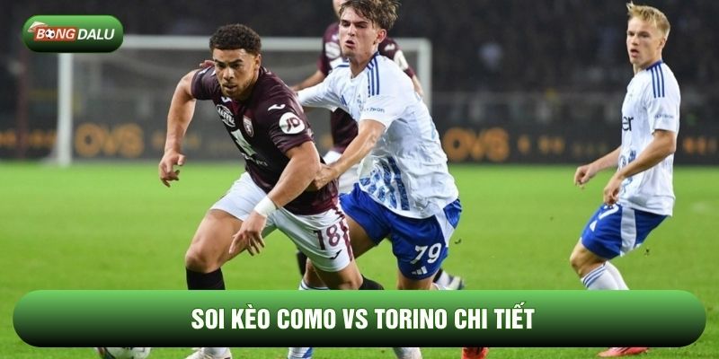 Soi kèo Como vs Torino chi tiết Soi kèo Como vs Torino chi tiết