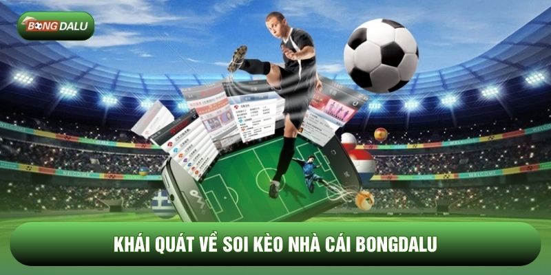 Khái quát về soi kèo nhà cái Bongdalu