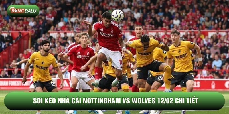 Soi kèo nhà cái Nottingham vs Wolves 12/02 chi tiết
