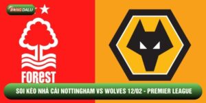 Soi kèo nhà cái Nottingham vs Wolves 12/02 - Premier League