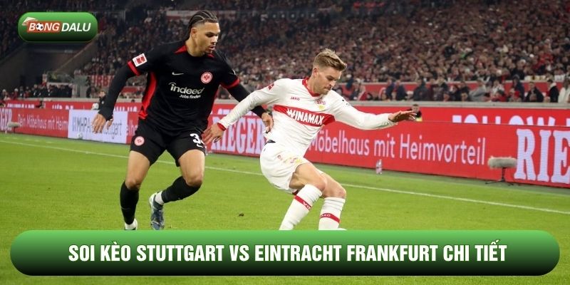 Soi kèo Stuttgart vs Eintracht Frankfurt chi tiết