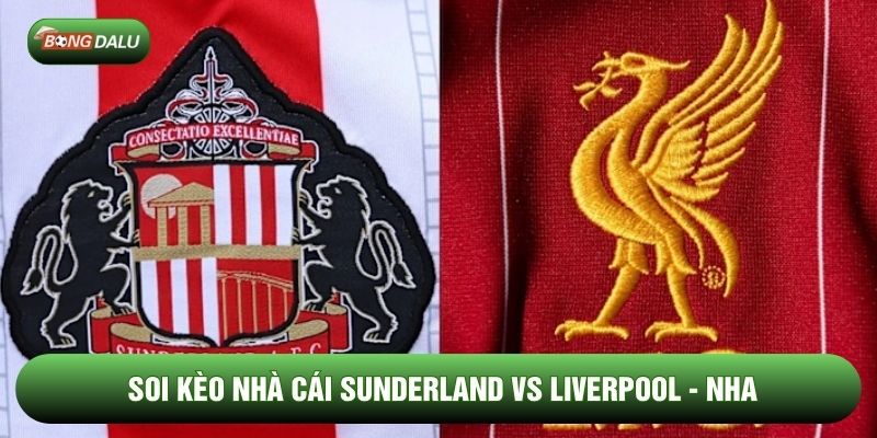 Soi Kèo Sunderland vs Liverpool 12/02 - Premier League