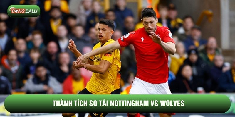 Thành tích so tài Nottingham vs Wolves