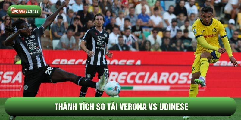 Thành tích so tài Verona vs Udinese