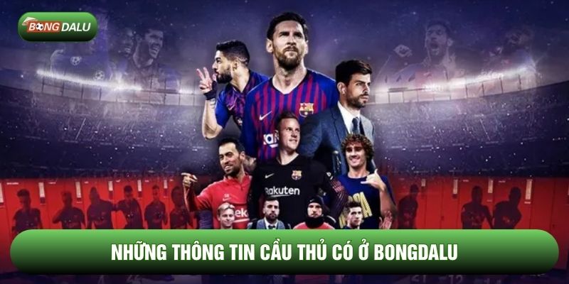 Những thông tin cầu thủ có ở Bongdalu Những thông tin cầu thủ có ở Bongdalu