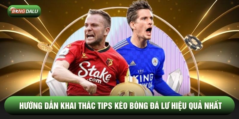 Hướng dẫn khai thác tips kèo bóng đá lu hiệu quả nhất