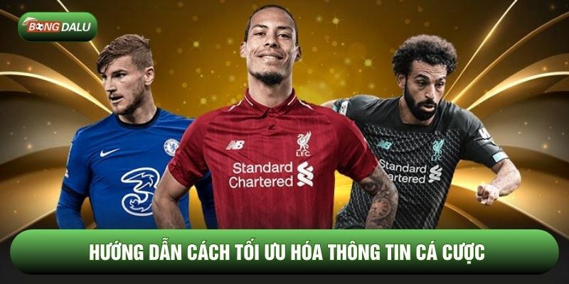 Hướng dẫn cách tối ưu hóa thông tin cá cược