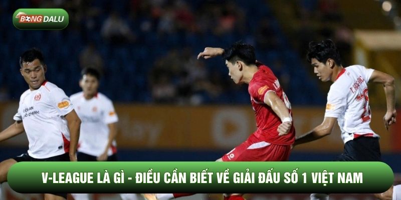 V-League Là Gì - Điều Cần Biết Về Giải Đấu Số 1 Việt Nam